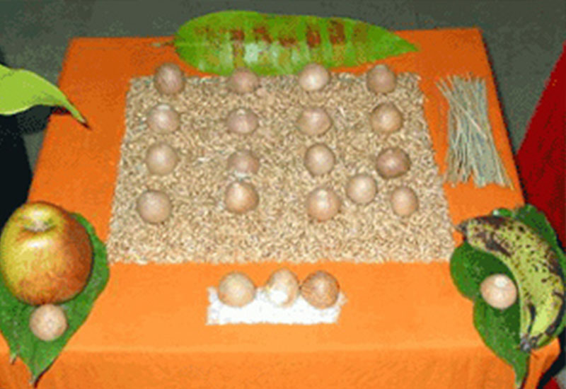 Pitrudosh Puja in Trimbakeshwar, Pitra Dosh Puja in Trimbakeshwar